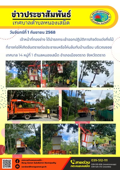 วันจันทร์ที่ 1 กันยายน 2568  เจ้าหน้าที่กองช่าง ได้นำรถกระเช้าออกปฏิบัติภารกิจตัดแต่งกิ่งไม้ที่อาจก่อให้เกิดอันตรายต่อประชาชนหรือโค่นล้มทับบ้านเรือน บริเวณซอยเทศบาล 14 หมู่ที่ 1 ตำบลหนองเสม็ด อำเภอเมืองตราด จังหวัดตราด