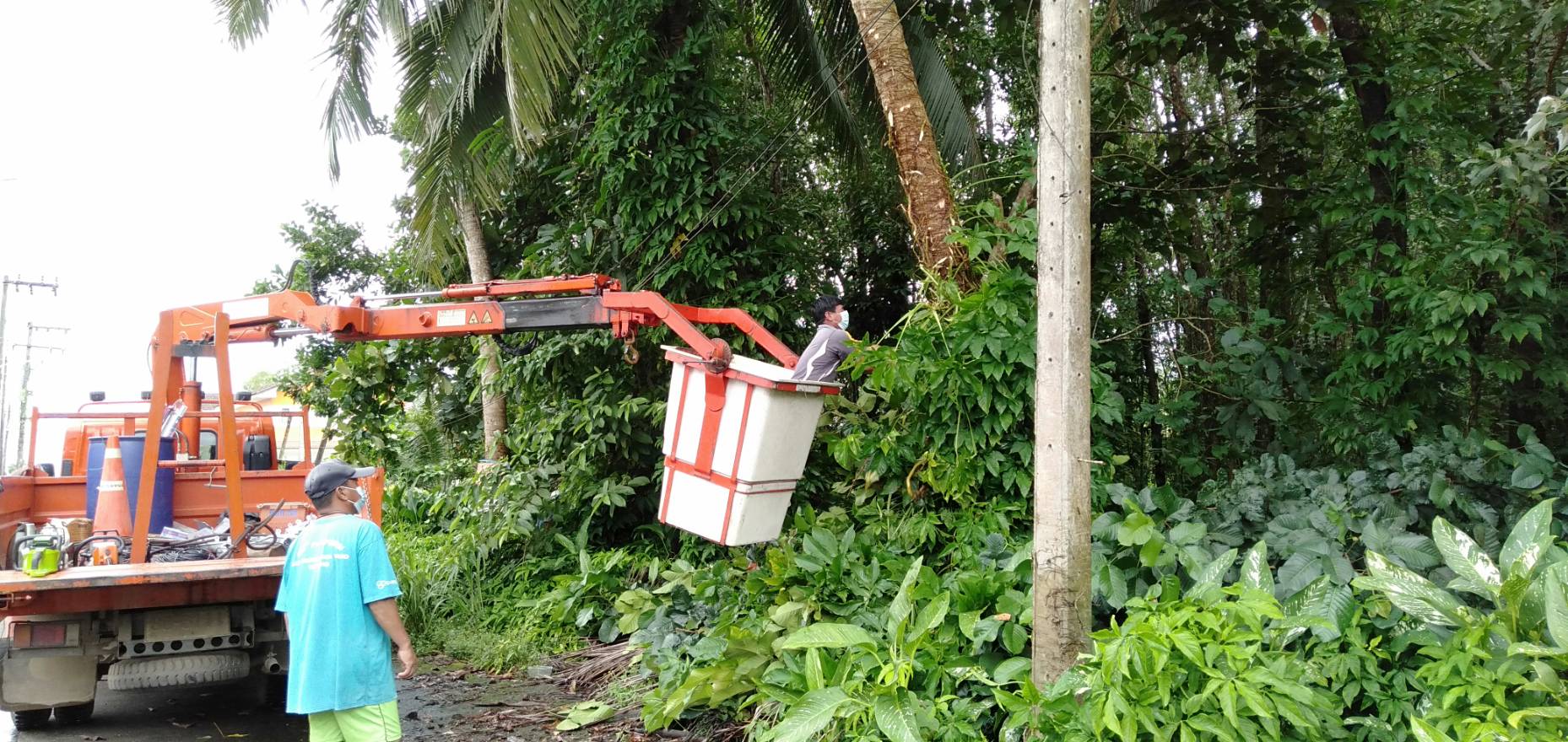 ดำเนินการตัดต้นไม้ที่หักโค่นทับสายไฟฟ้า ซอบอิงเสถียร