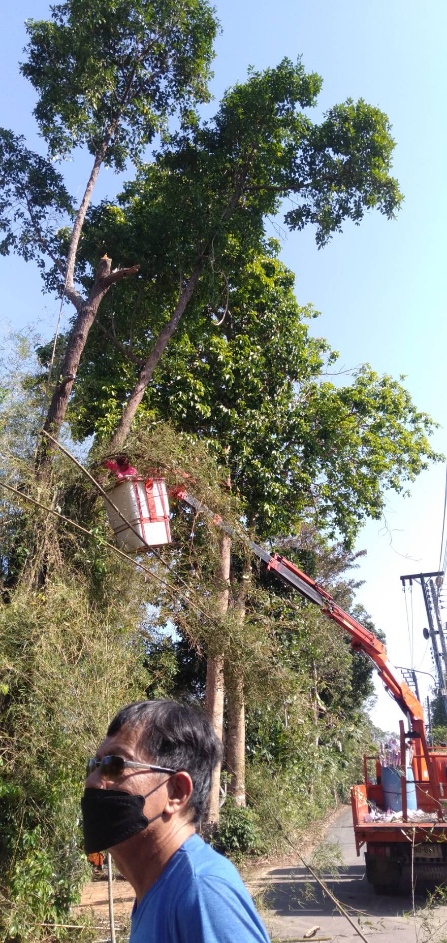 ตัดไม้เสี่ยงต่อการโค่นล้มทับสายไฟฟ้า หมู่ 3