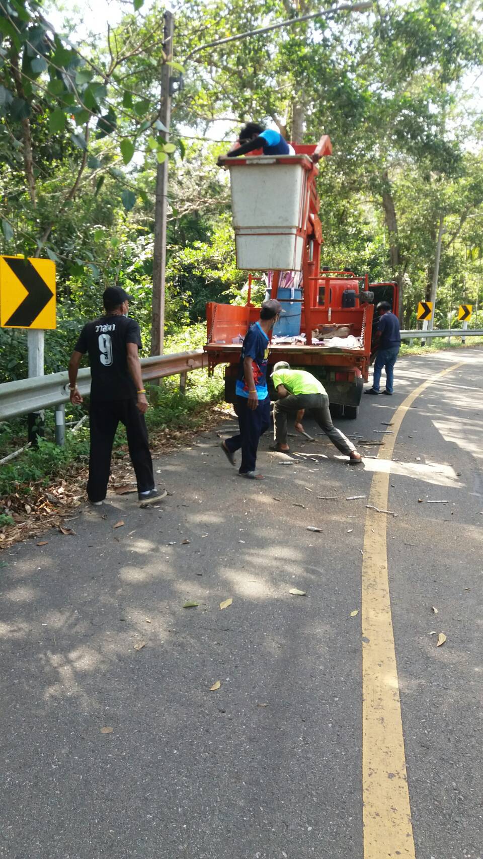 ตัดไม้พาดสายไฟบริเวณสระสีเสียด