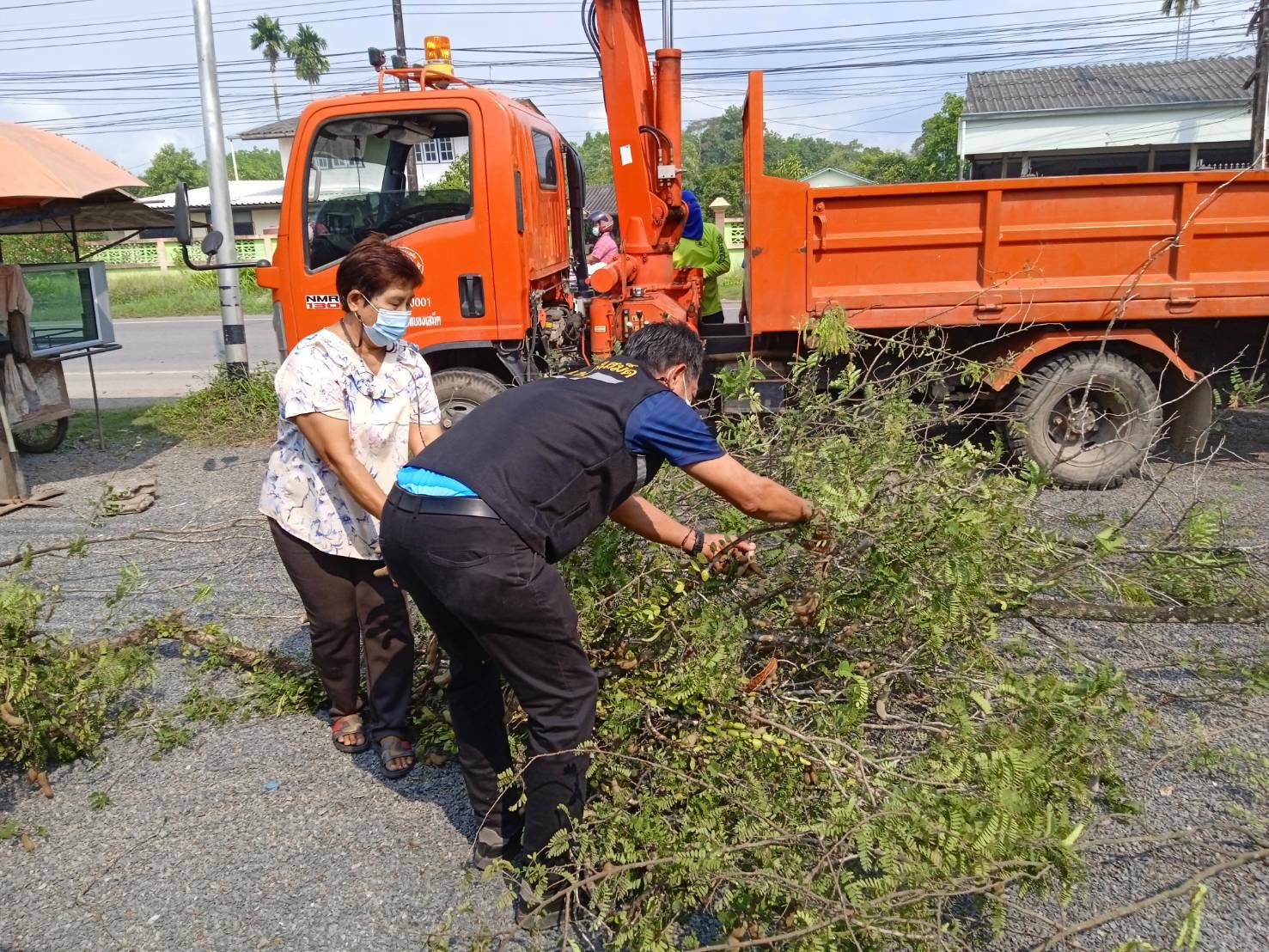 ตัดต้นมะขามริมถนนสุขุมวิท ม.1 ซึ่งบดบังทัศนียภาพในการใช้รถใช้ถนน