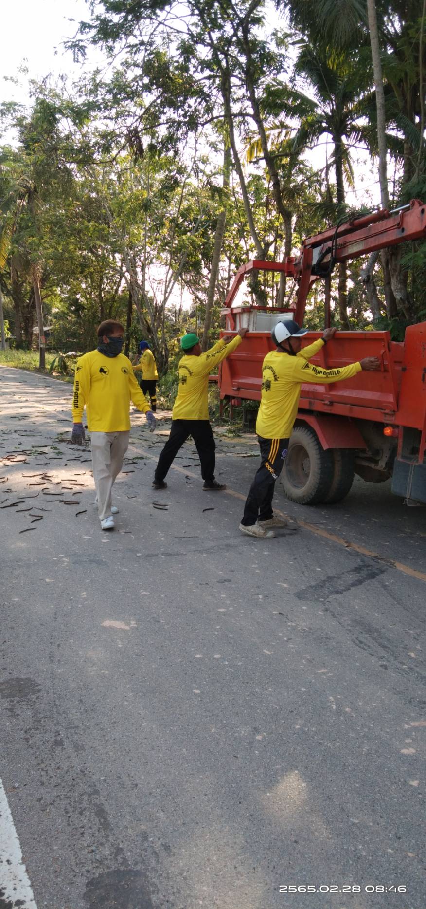 ต้นไม้ล้มขวางทางบริเวณบ้านแหลมตะโคยสี่แยกรางชลปะทาน