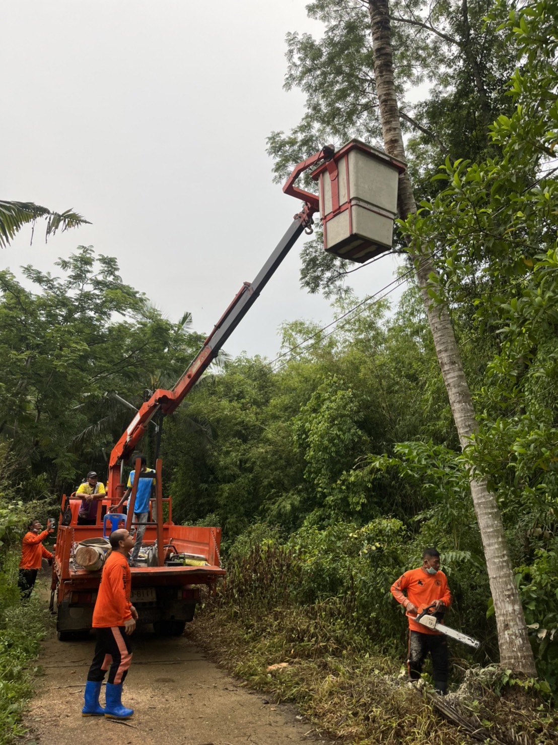 ตัดต้นไม้ละสายไฟฟ้า เสี่ยงต่อการเกิดอันตรายกับประชาชนในพื้นที่